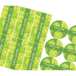 KE0138 - Kit Escolar - Limones